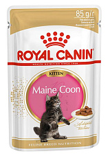 Royal Canin Maine Coon Kitten (соус)